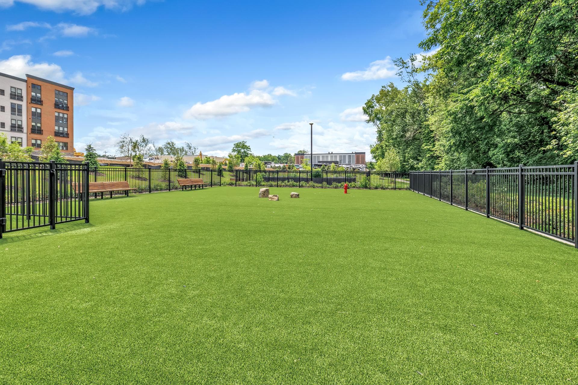 Dog Park