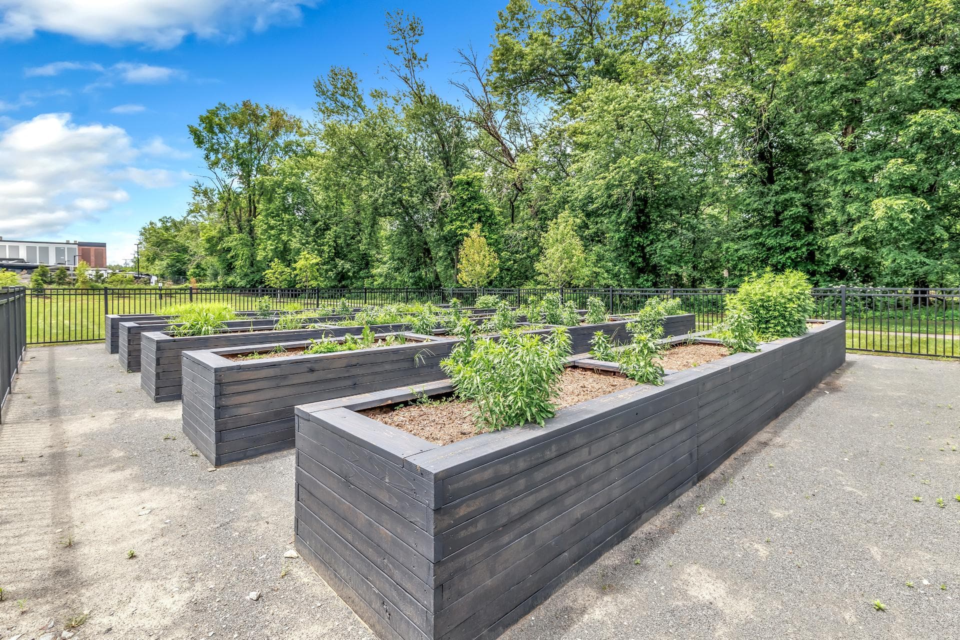 Community Garden