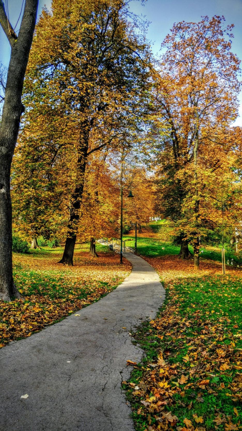 Becker Park