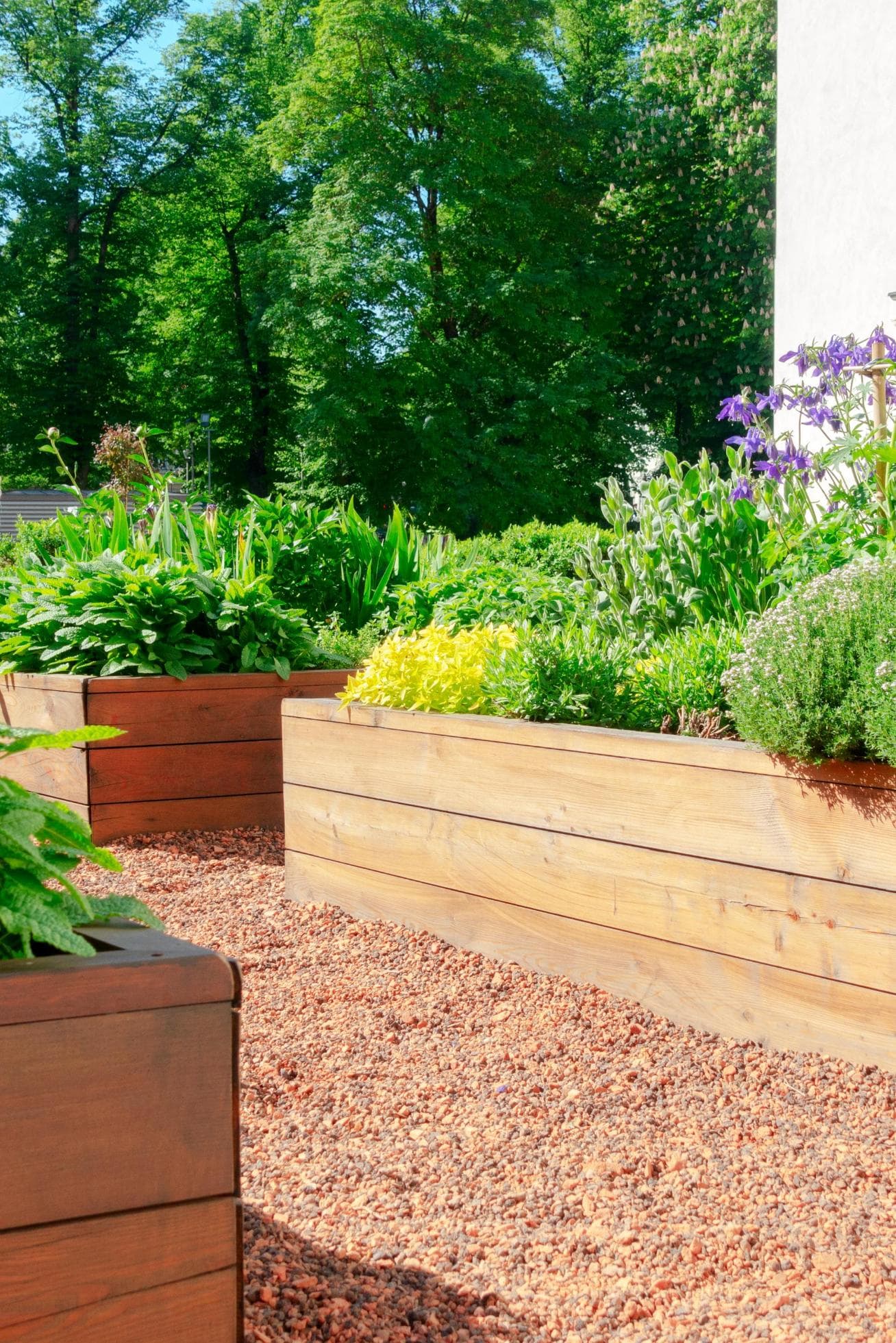 Community Garden